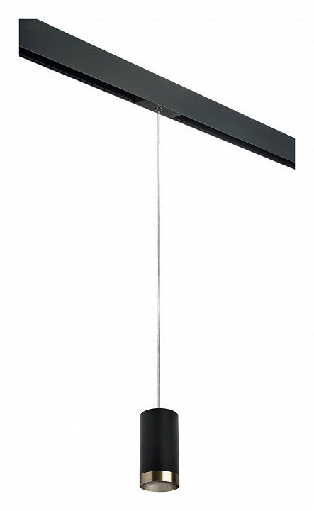 Фото Подвесной светильник Lightstar Rullo PRORP437431 LS_PRORP437431 - интернет-магазин МегаТерем в Москве