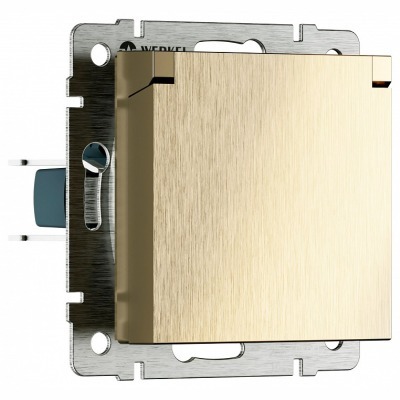 Розетка влагозащищенная с заземлением и со шторкой, без рамки с крышкой Werkel шампань рифленый W1171210 WRK_a069604