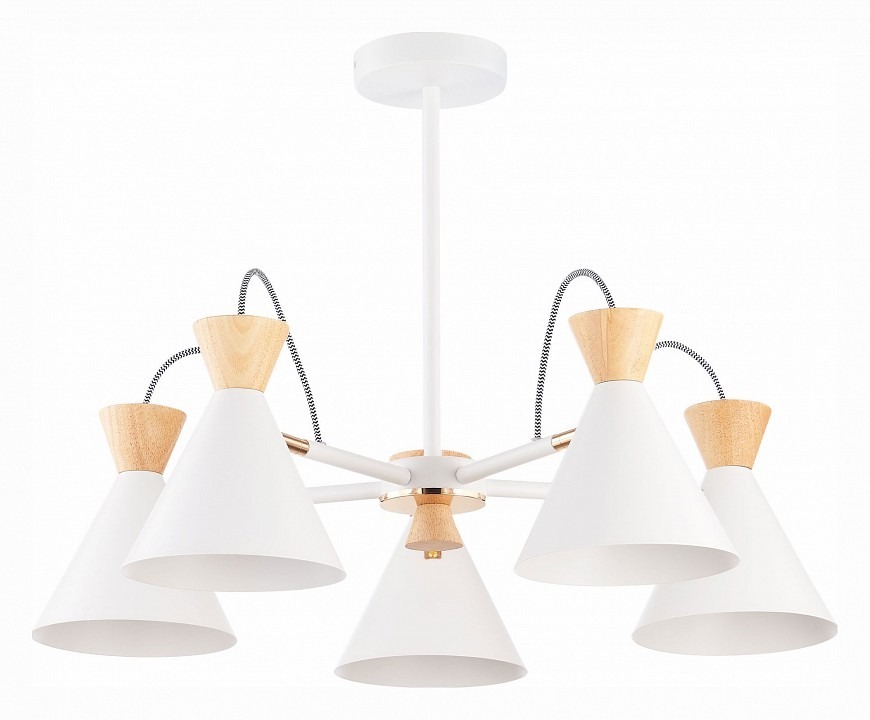 Фото Люстра на штанге EVOLUCE Modica SLE125102-05 EVO_SLE125102-05 - интернет-магазин МегаТерем в Москве