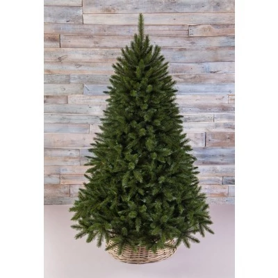 Триумф ель лесная красавица...