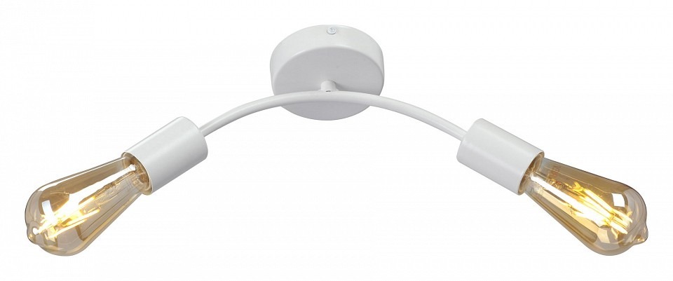 Фото Накладной светильник Vitaluce V4989 V4989-0/2PL VI_V4989-0_2PL - интернет-магазин МегаТерем в Москве