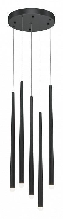 Фото Подвесной светильник Maytoni Halo MOD132PL-L30BK MY_MOD132PL-L30BK - интернет-магазин МегаТерем в Москве