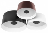 Потолочная люстра Loft it Duo 10360/3 LF_10360_3