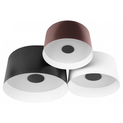 Потолочная люстра Loft it Duo 10360/3 LF_10360_3