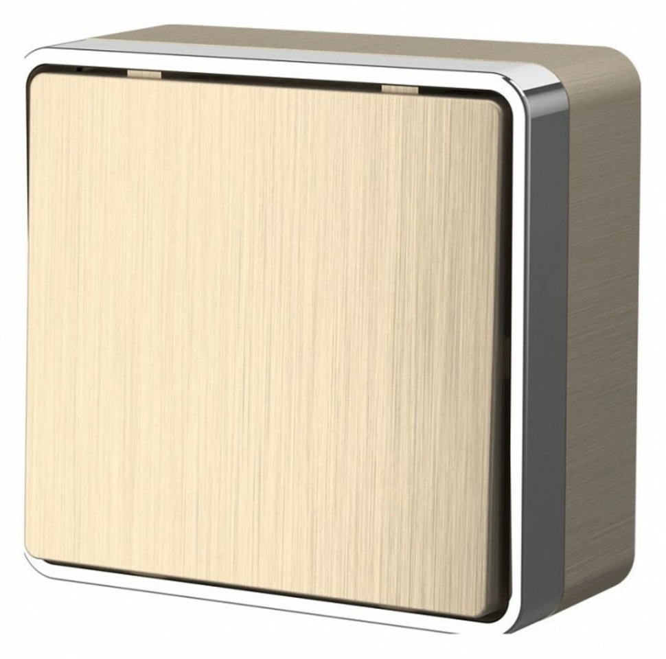 Фото Выключатель одноклавишный Werkel Gallant (шампань рифленый) W5010010 WRK_a051039 - интернет-магазин МегаТерем в Москве