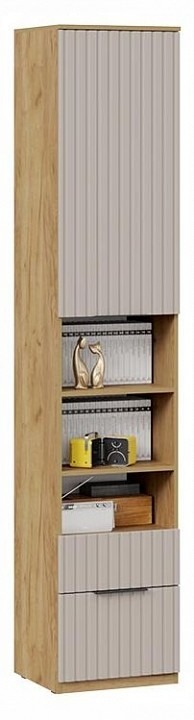 Фото Шкаф комбинированный Хилтон Исп. 2 TRI_267813 - интернет-магазин МегаТерем в Москве