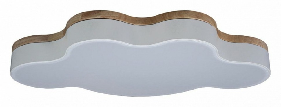 Фото Накладной светильник Loft it Axel 4 10005/36 White LF_10005_36_White - интернет-магазин МегаТерем в Москве