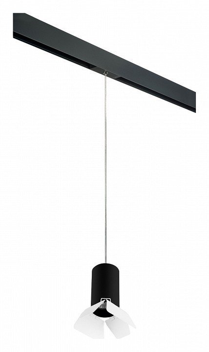 Фото Подвесной светильник Lightstar Rullo PRORP437436 LS_PRORP437436 - интернет-магазин МегаТерем в Москве