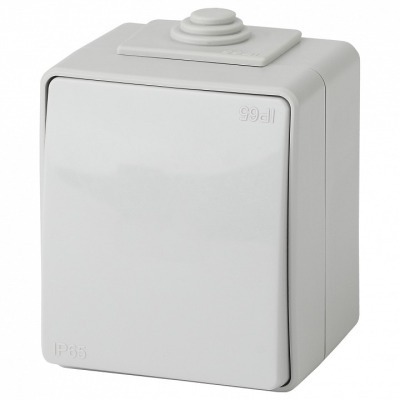 Переключатель одноклавишный Эра Эра Эксперт 11-1603-03 ER_B0035975