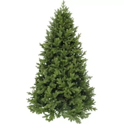 Триумф ель царская 185 см з...