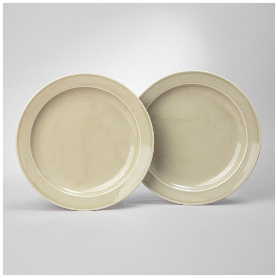 Фото Набор тарелок обеденных lefard tint 24 см (фисташковый) 2 шт. (48-854-1)  - интернет-магазин МегаТерем в Москве