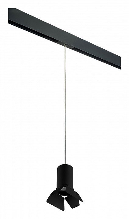 Фото Подвесной светильник Lightstar Rullo PRORP437437 LS_PRORP437437 - интернет-магазин МегаТерем в Москве