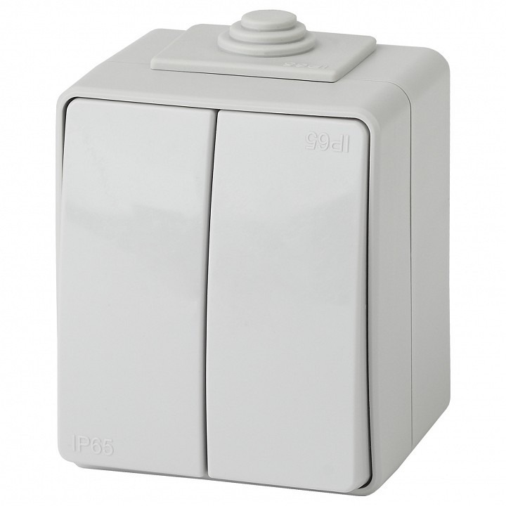 Фото Выключатель двухклавишный Эра Эра Эксперт 11-1604-03 ER_B0035976 - интернет-магазин МегаТерем в Москве