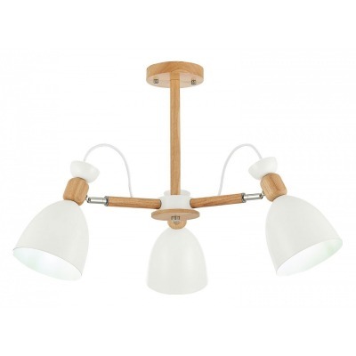 Люстра на штанге EVOLUCE Ba...