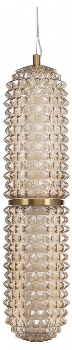 Фото Подвесной светильник ST-Luce SAGUARO SL6144.303.01 - интернет-магазин МегаТерем в Москве