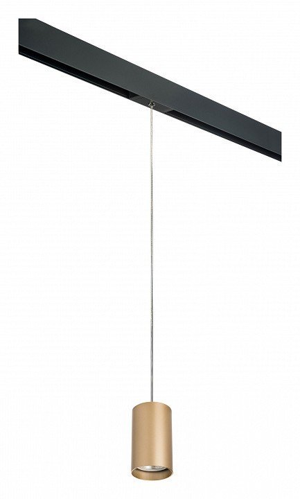 Фото Подвесной светильник Lightstar Rullo PRORP440 LS_PRORP440 - интернет-магазин МегаТерем в Москве