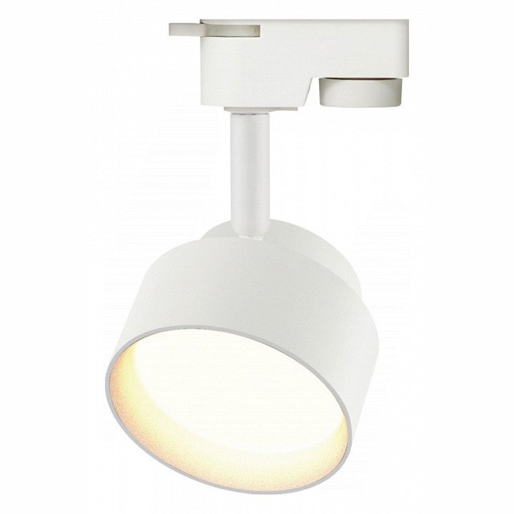 Фото Светильник на штанге Эра TR16 Б0048547 ER_B0048547 - интернет-магазин МегаТерем в Москве