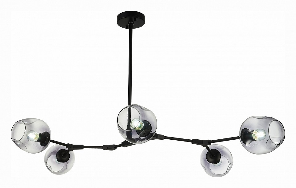 Фото Подвесная люстра EVOLUCE Rametto SLE154843-05 EVO_SLE154843-05 - интернет-магазин МегаТерем в Москве