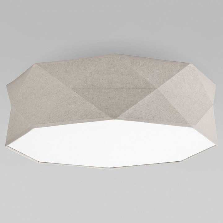 Фото Накладной светильник TK Lighting Kantoor 6195 Kantoor Nature EV_a059803 - интернет-магазин МегаТерем в Москве