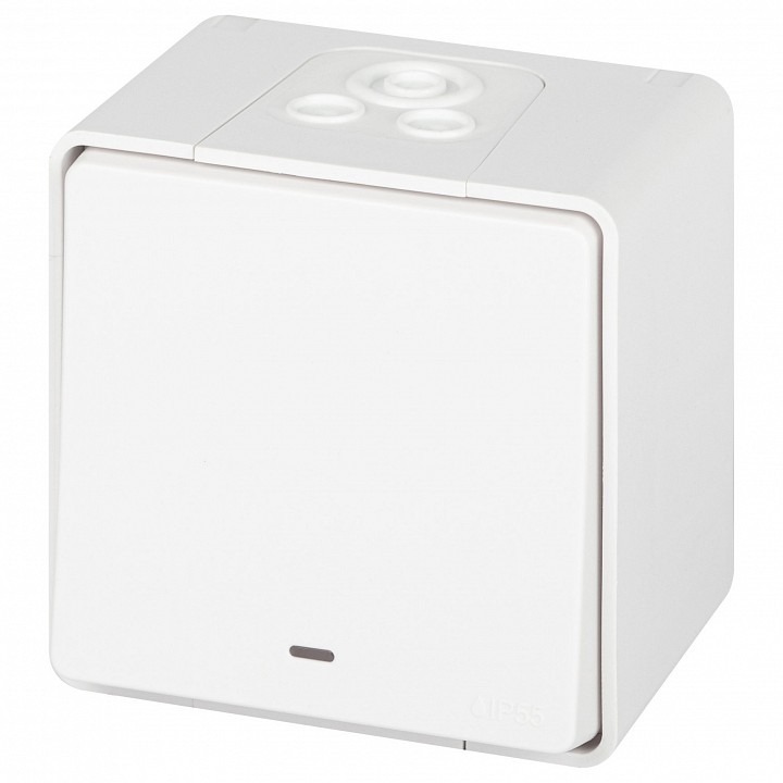 Фото Переключатель одноклавишный с подсветкой Эра Эра Эксперт 11-1507-01 ER_B0063255 - интернет-магазин МегаТерем в Москве