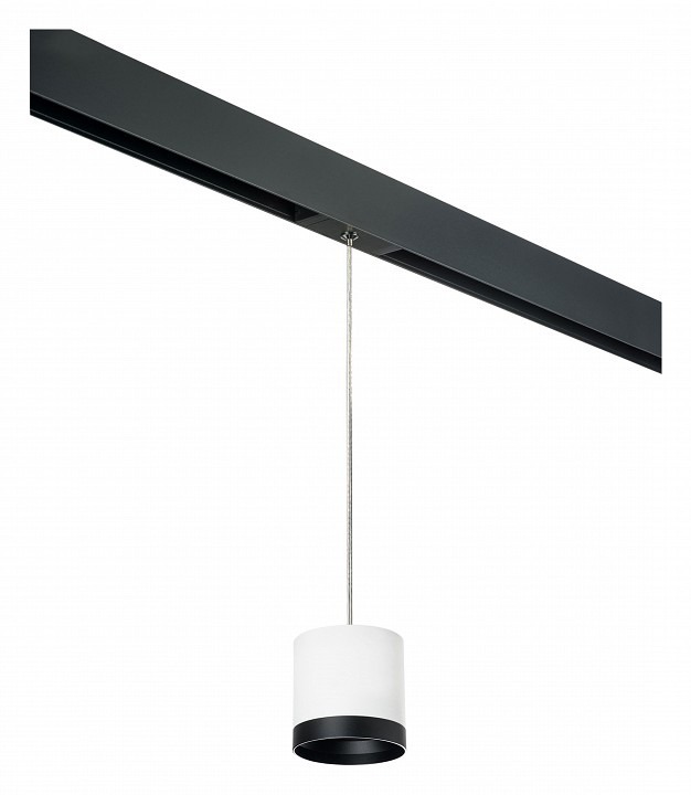 Фото Подвесной светильник Lightstar Rullo PRORP34863487 LS_PRORP34863487 - интернет-магазин МегаТерем в Москве