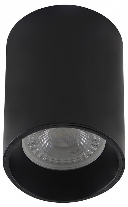 Фото Накладной светильник Denkirs DK3110 DK3110-BK DK_DK3110-BK - интернет-магазин МегаТерем в Москве