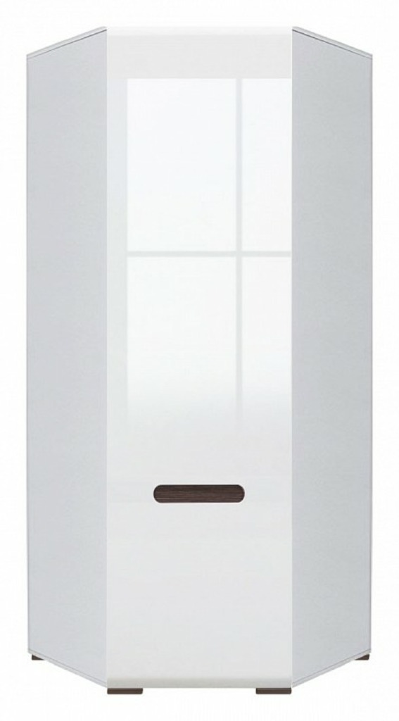 Фото Шкаф платяной Ацтека SZFN1D/21/10 BRW_70001785 - интернет-магазин МегаТерем в Москве