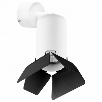 Спот Lightstar Rullo RB436437 LS_RB436437