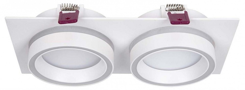 Фото Встраиваемый светильник Favourite Vasto 4650-2C FV_4650-2C - интернет-магазин МегаТерем в Москве