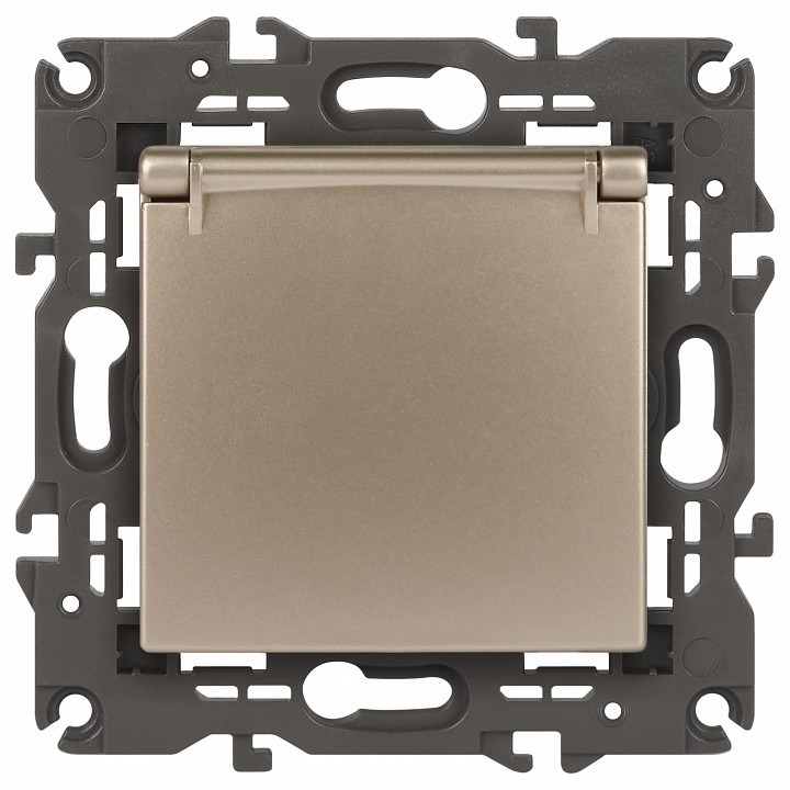 Фото Розетка с заземлением и со шторкой, без рамки с крышкой Эра Эра Elegance 14-2103-04 ER_B0034281 - интернет-магазин МегаТерем в Москве