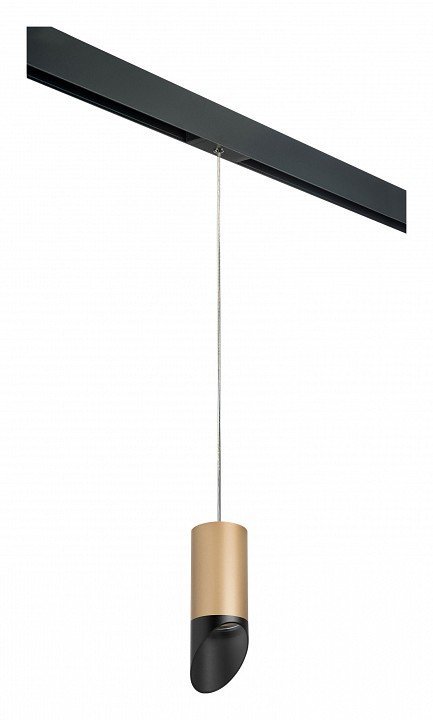 Фото Подвесной светильник Lightstar Rullo PRORP44037 LS_PRORP44037 - интернет-магазин МегаТерем в Москве