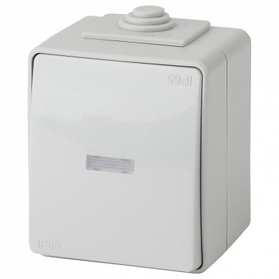 Переключатель одноклавишный с подсветкой Эра Эра Эксперт 11-1610-03 ER_B0035981