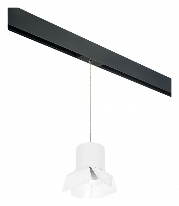 Фото Подвесной светильник Lightstar Rullo PRORP3486486 LS_PRORP3486486 - интернет-магазин МегаТерем в Москве