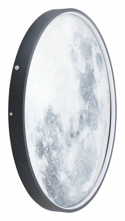 Фото Накладной светильник Lightstar Emisfero 737637 LS_737637 - интернет-магазин МегаТерем в Москве