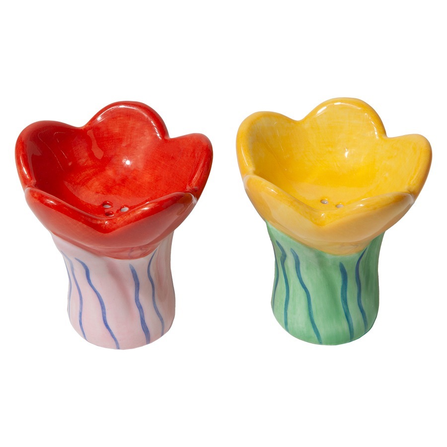 Фото Набор из солонки и перечницы bloom (78939) - интернет-магазин МегаТерем в Москве