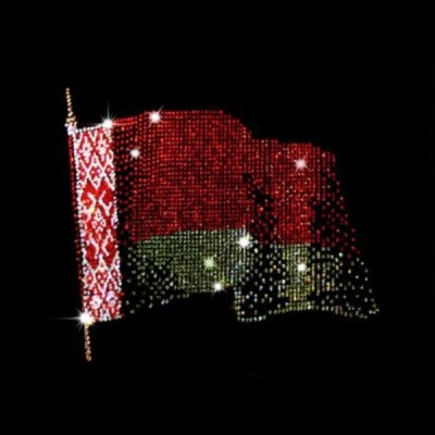 Картина Флаг Белоруссии с кристаллами Swarovski (1302)