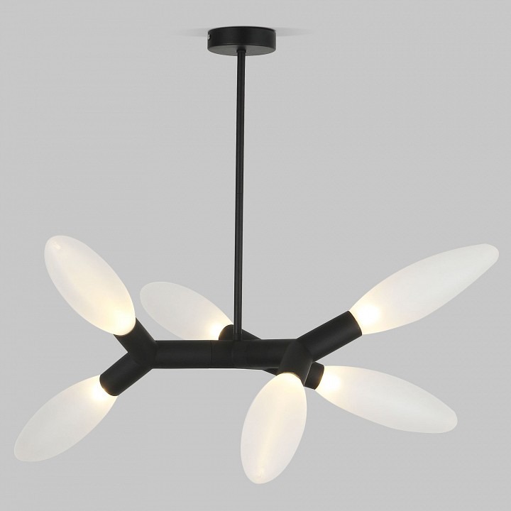 Фото Люстра на штанге Eurosvet Covalent 30180/6 черный EV_a069153 - интернет-магазин МегаТерем в Москве