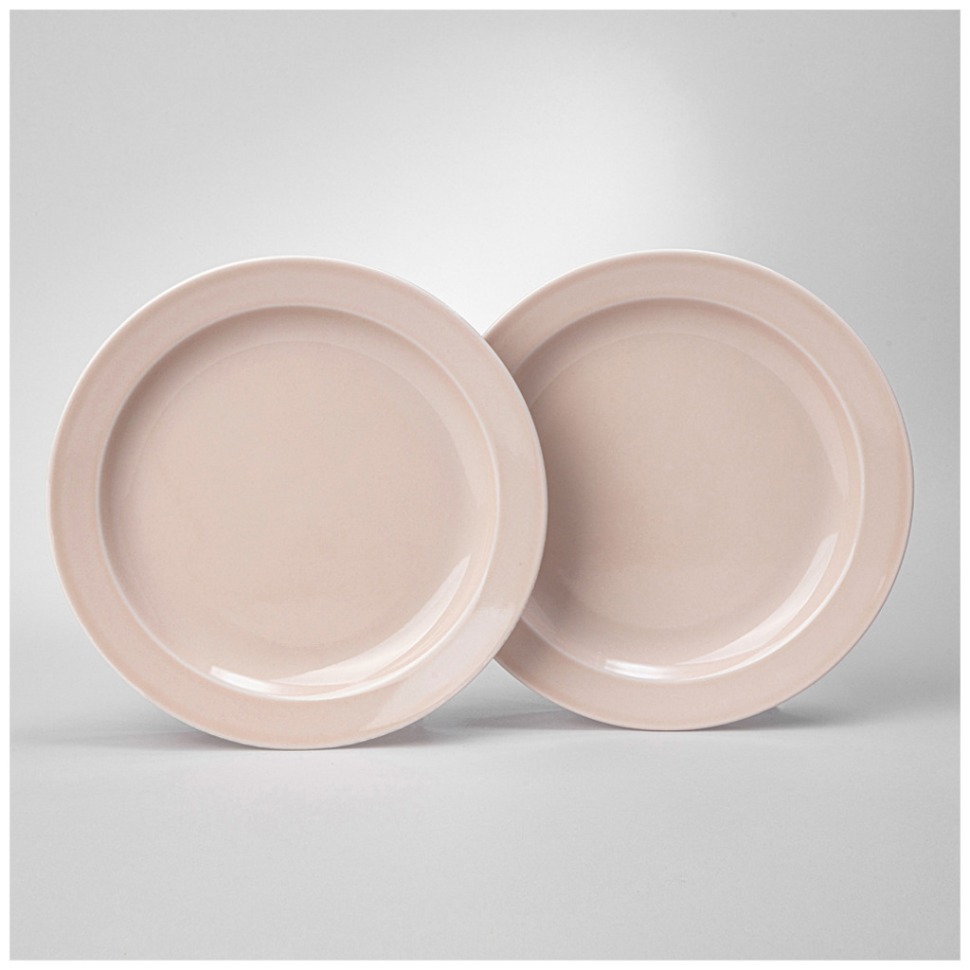 Фото Набор тарелок обеденных lefard tint 24 см (розовый) 2 шт. (48-869-1)  - интернет-магазин МегаТерем в Москве