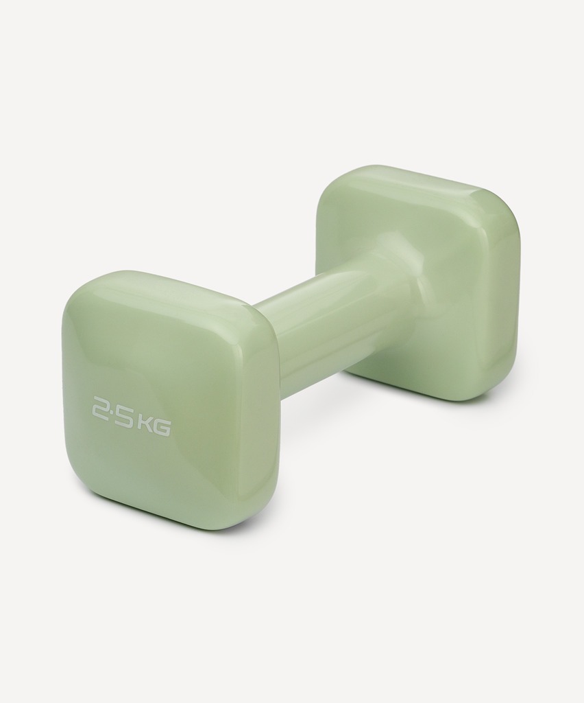 Фото Гантель виниловая STARFIT DB-106 2,5 кг, оливковый (2119188) - интернет-магазин МегаТерем в Москве