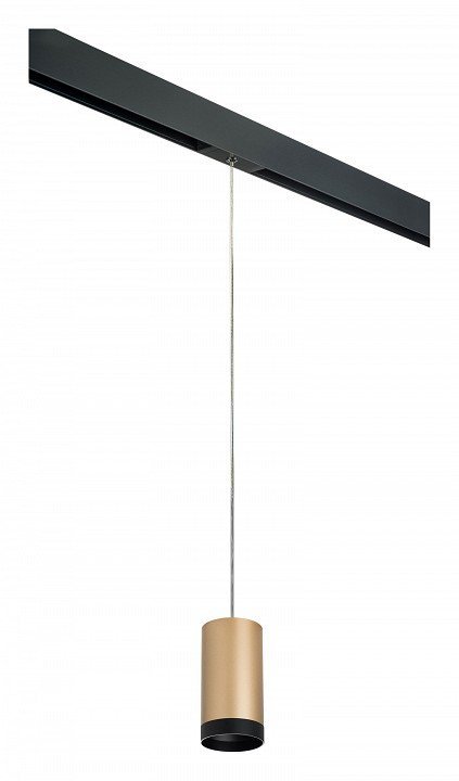 Фото Подвесной светильник Lightstar Rullo PRORP440437 LS_PRORP440437 - интернет-магазин МегаТерем в Москве