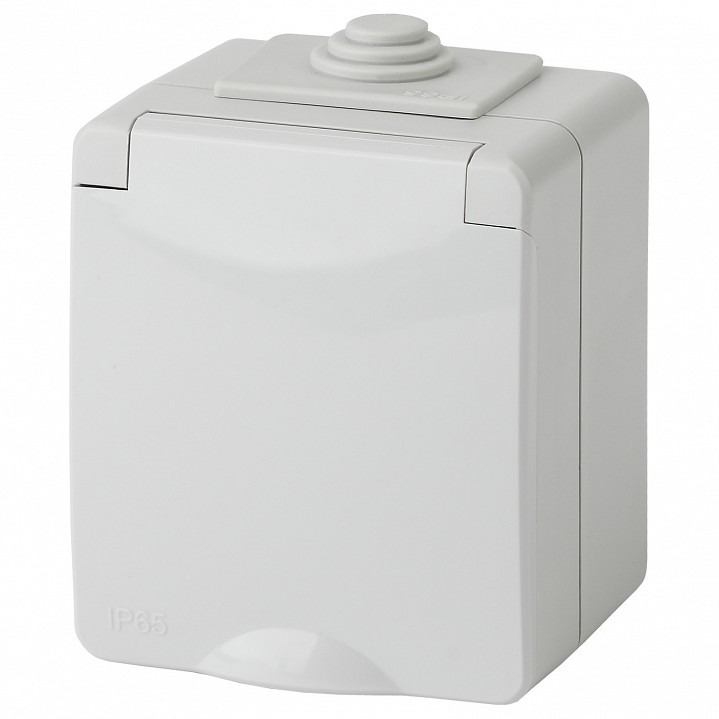 Фото Розетка с заземлением с крышкой Эра Эра Эксперт 11-2601-03 ER_B0035988 - интернет-магазин МегаТерем в Москве