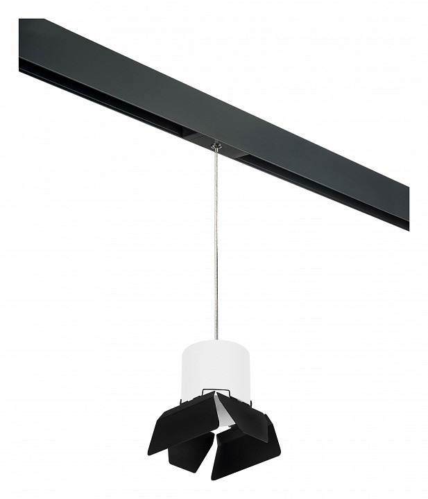 Фото Подвесной светильник Lightstar Rullo PRORP3486487 LS_PRORP3486487 - интернет-магазин МегаТерем в Москве