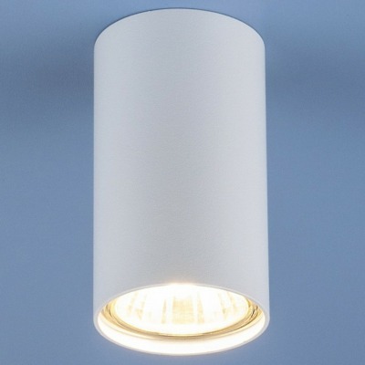 Накладной светильник Elektr...