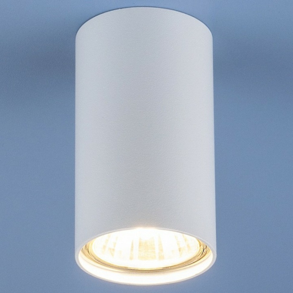 Фото Накладной светильник Elektrostandard 1081 a037712 ELK_a037712 - интернет-магазин МегаТерем в Москве