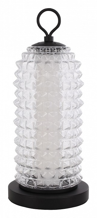 Фото Настольная лампа декоративная ST-Luce SAGUARO SL6144.404.01 - интернет-магазин МегаТерем в Москве