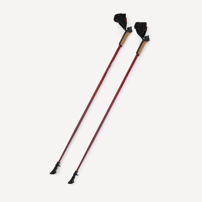 Палки для скандинавской ход...