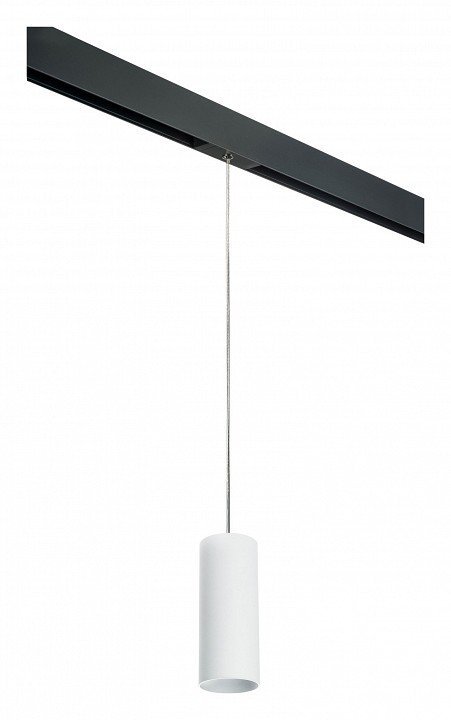 Фото Подвесной светильник Lightstar Rullo PRORP486 LS_PRORP486 - интернет-магазин МегаТерем в Москве