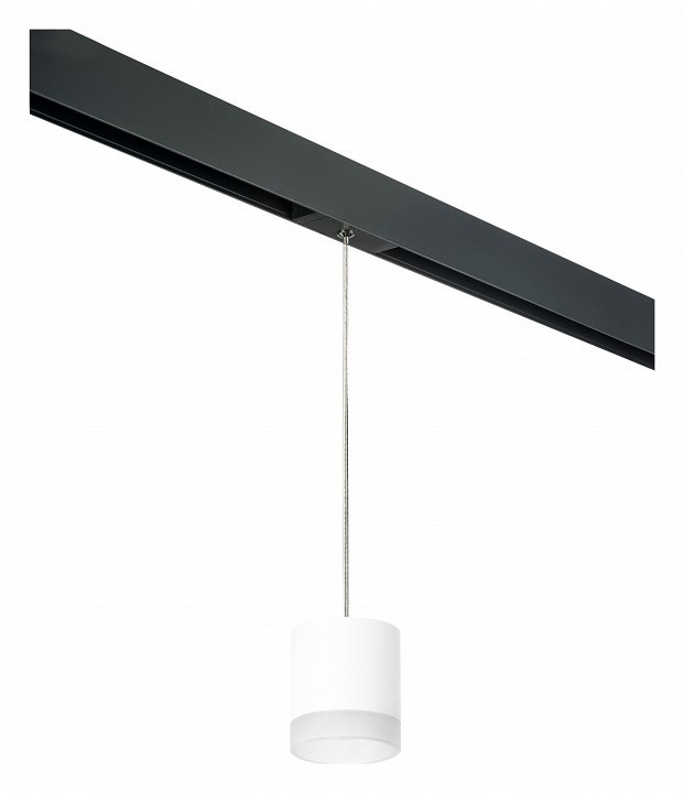 Фото Подвесной светильник Lightstar Rullo PRORP348680 LS_PRORP348680 - интернет-магазин МегаТерем в Москве