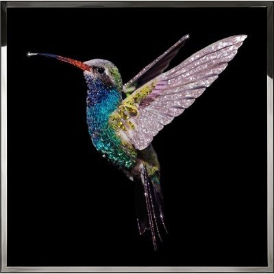 Картина Жемчужная колибри с...