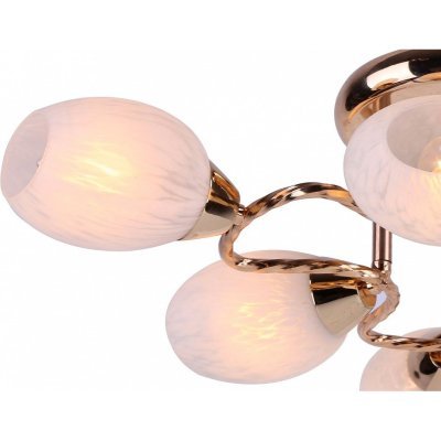 Потолочная люстра Arte Lamp...